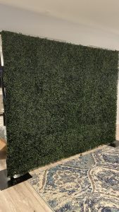 boxwood wall 2